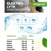 Vit4ever Electrolyte Komplex složení | Natureforlife.cz