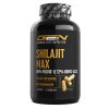 GEN Shilajit Max 180 kapslí | Natureforlife.cz