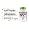 Vit4ever PMS Balance Komplex přehledně | natureforlife