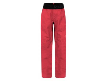 10020097RFX01 Pedro Jr, chrysanthemum