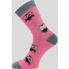 Ponožky Voxx Sovik merino holka růžová