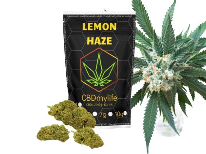 CBD konopí Lemon Haze (Hmotnost 100g)