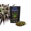 CBD konopí  Sour Diesel (Hmotnost 100g)