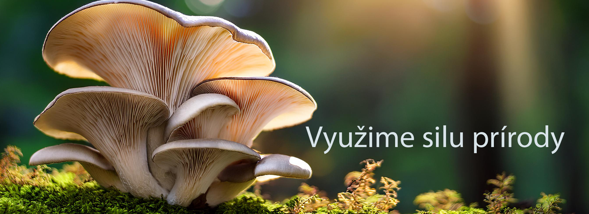 Využime silu prírody