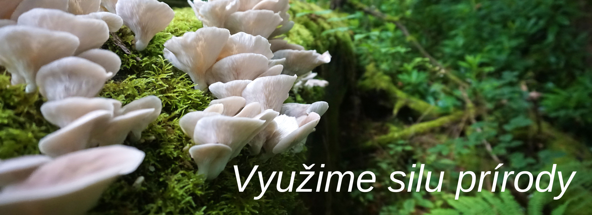 Využime silu prírody