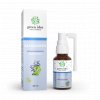 Salvia green