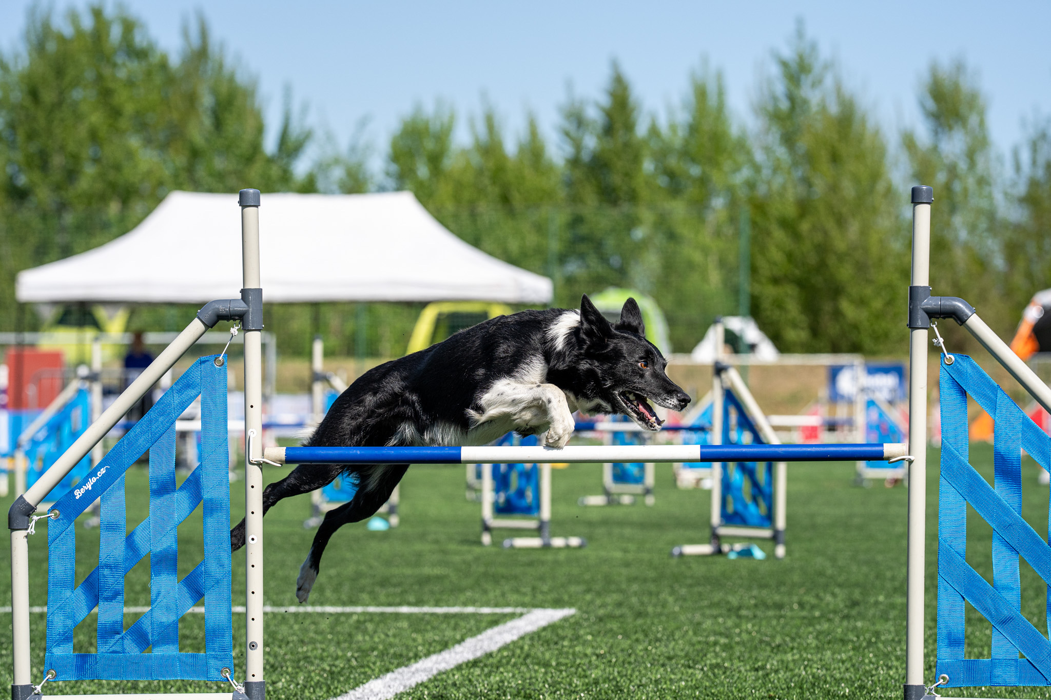 002E95A8-C3D8-48C7-B37A-E3C1B0E2AA37