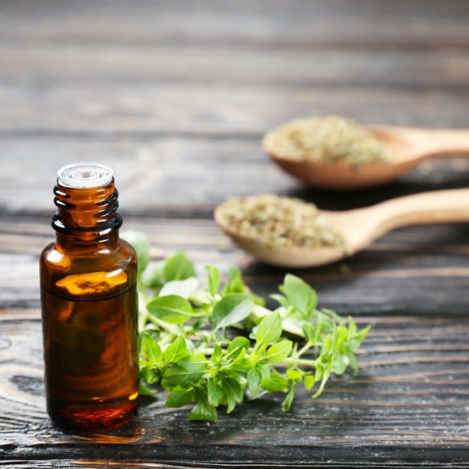 Oregano na prechladnutie a chrípku