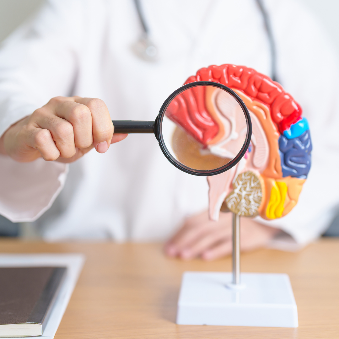 Zdravie čreva: Kľúč k pohode tela a mysle