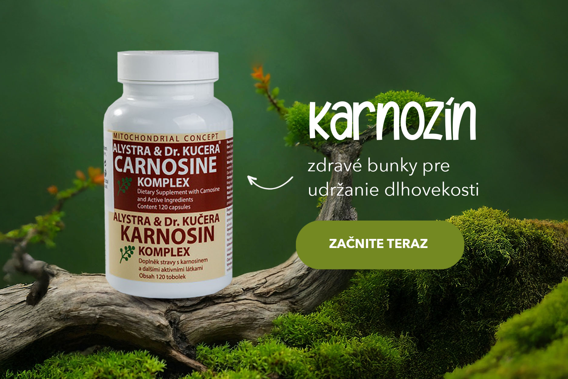 Karnozín