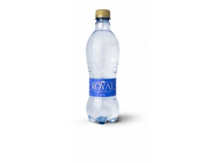 royal ionized water 0,5 L 1.jpg