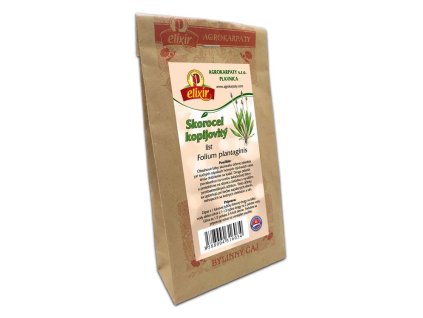 AGROKARPATY Skorocel kopijovitý - list