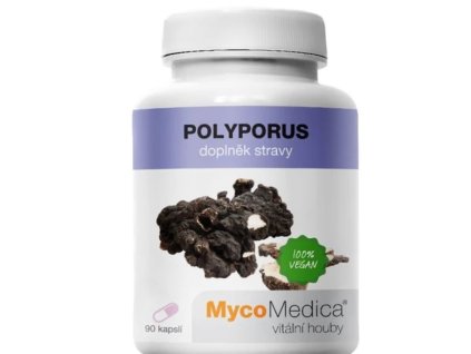 Myco polyporus 90 kps.jpg