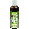 Helmifit NADĚJE