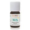 Silica Eukalyptus 10 ml.png