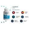 Medved lactoferin pure 60 kapsul