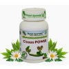 Planeta Ayurveda Ciccus Power 60 kps.jpg
