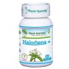 Planeta Ayurveda Halorhena 60 kps.jpg