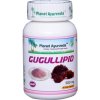 Planet Ayurveda Gugllipid.png