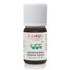 Hanus Silica Mandarínka zelená 10 ml