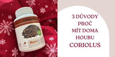 3 důvody proč mít doma houbu Coriolus