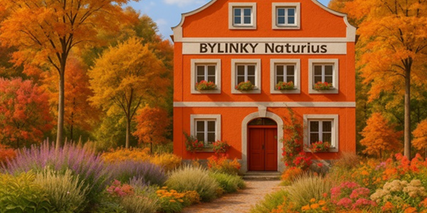 Co se u nás bude dít v listopadu