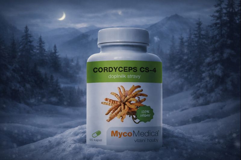 Zima je obdobím vody. Proč?