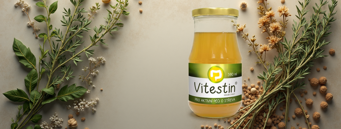 ✨ Vitestin – síla bylin, věda v pozadí, harmonie v popředí.