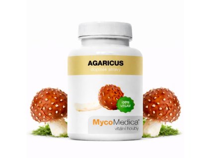 Agaricus ilustrace mech