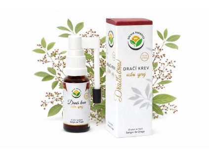 Sangre de drago20 ilustrace