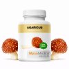 Mycomedica agaricus ilustrace