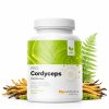 Cordyceps PRO kompozice