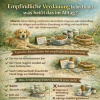 Empfindliche Verdauung beim Hund – Ernährung ruhig einordnen