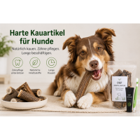 Harte Kauartikel für Hunde – worauf sollte man achten?