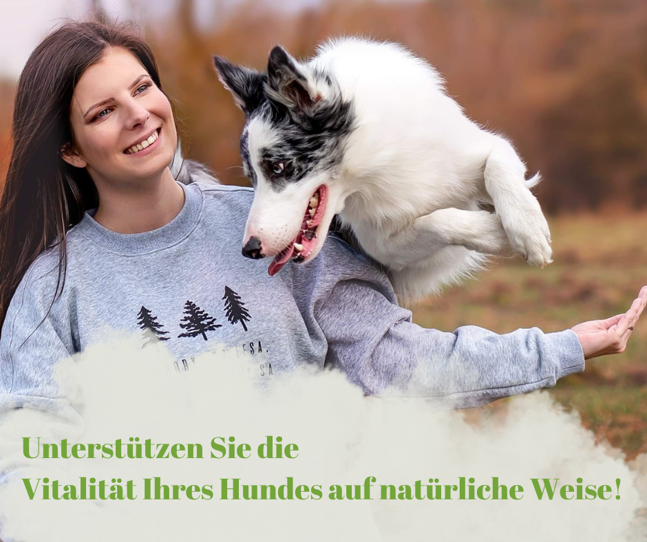Unterstützen Sie die Vitalität Ihres Hundes auf natürliche Weise!