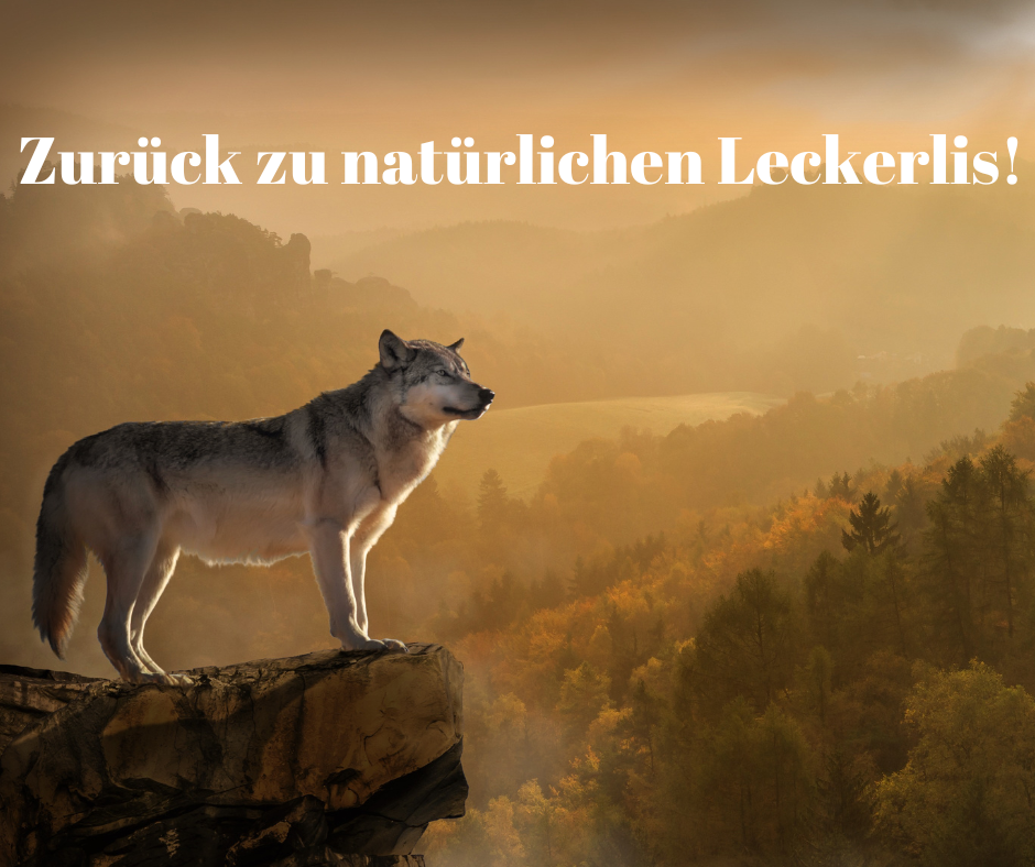 Zurück zu natürlichen Leckerlis!