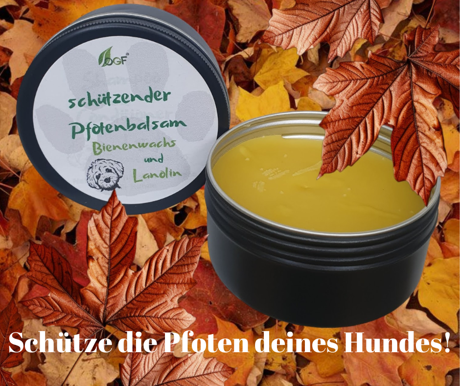 Schütze die Pfoten deines Hundes!
