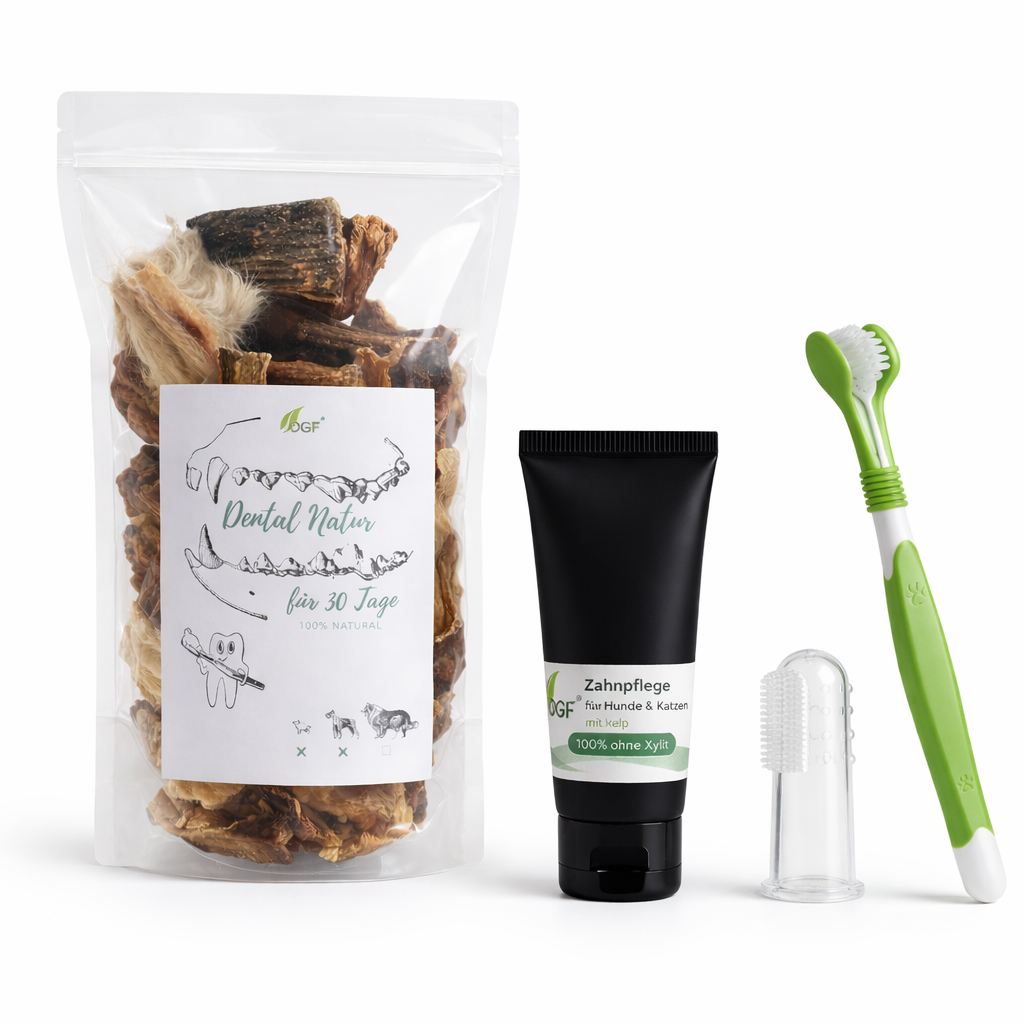 Zahnpflege Set für Hunde