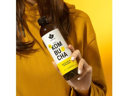 Puhdistamo Kombucha BIO ginger lemon 400 ml (zázvor-citrón)
