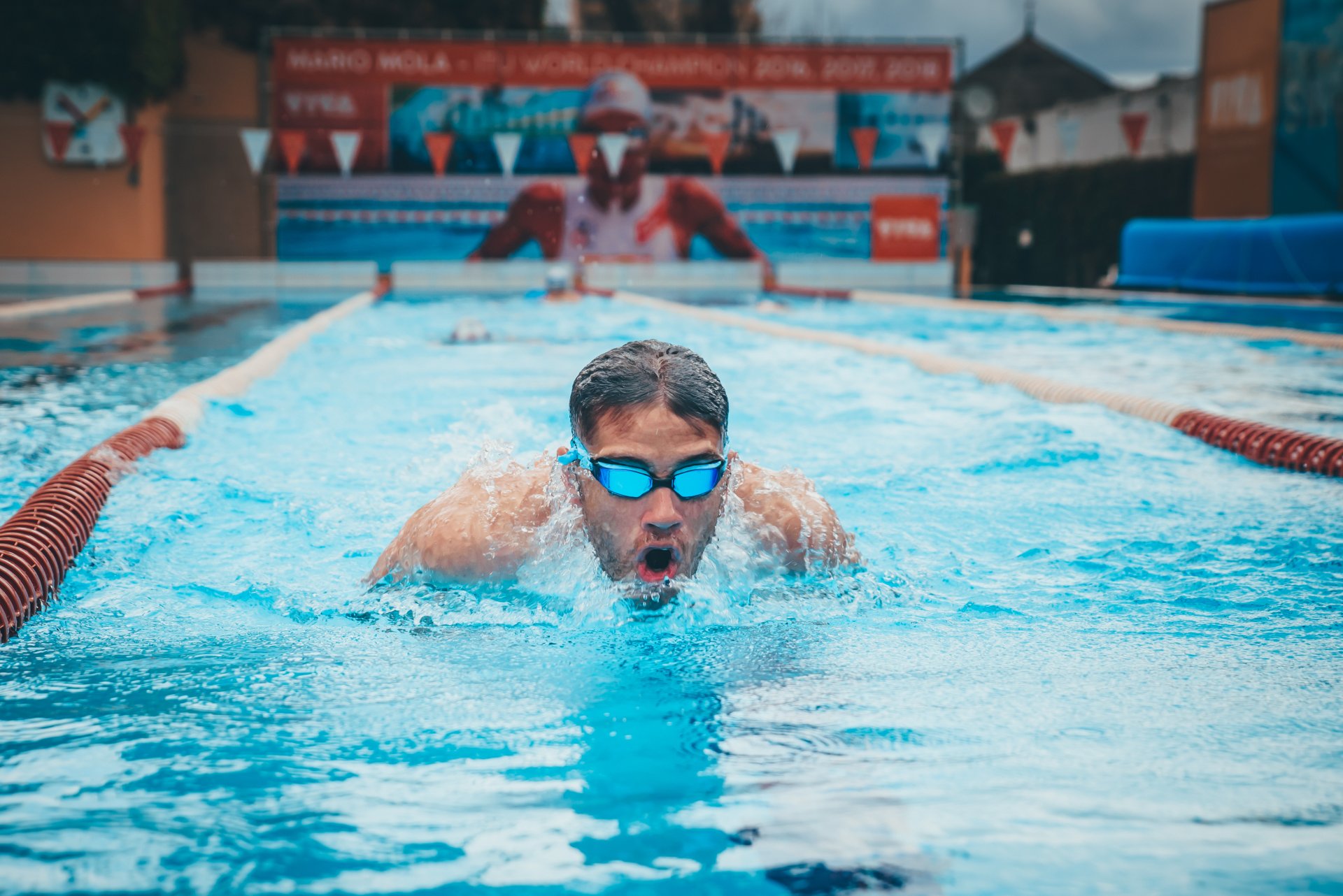 Slovenskí vedci dali vrcholovým plavcom popri intenzívnom tréningu jesť bryndzu, aby zistili, čo to spraví s ich trávením