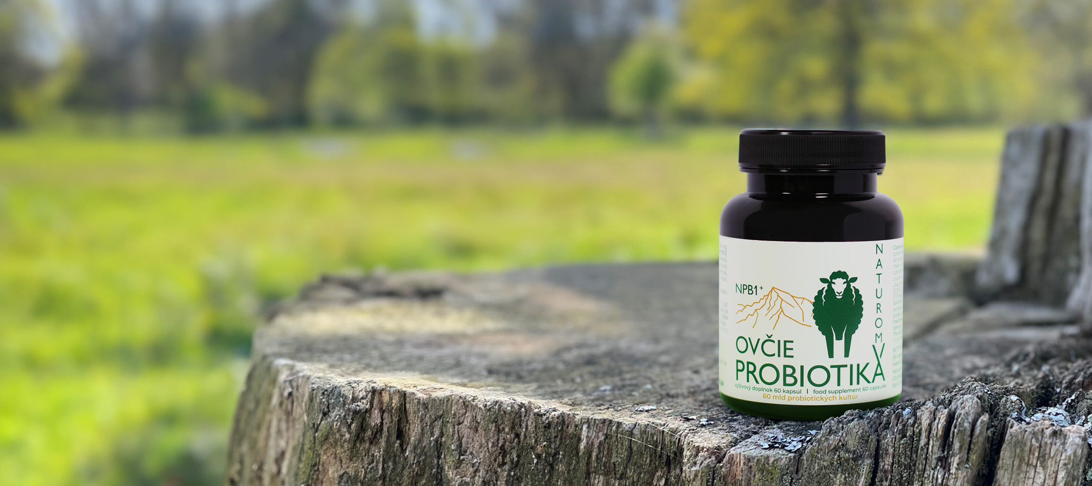 Naturálne probiotikum NPB1 z ovčej bryndze