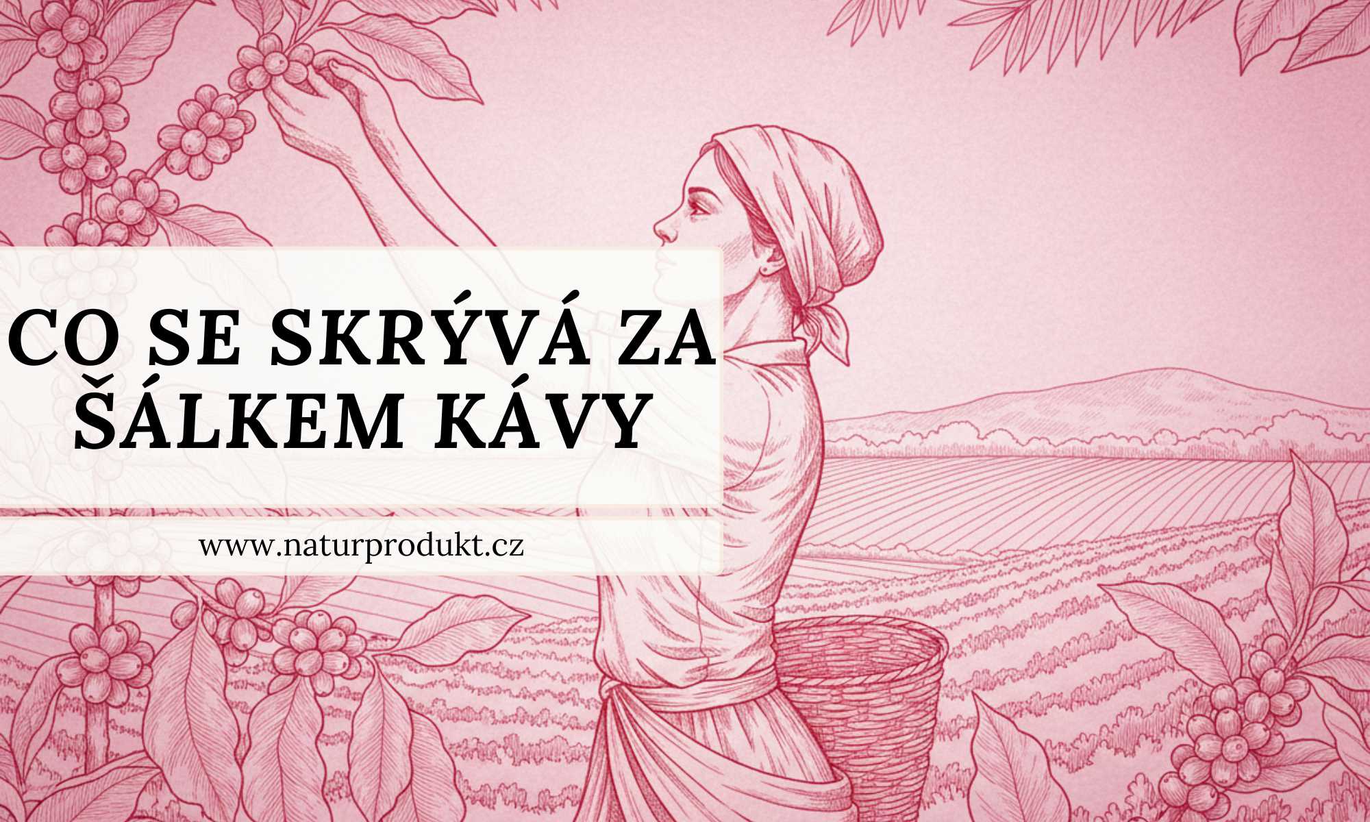 Přemýšleli jste někdy, co se skrývá za šálkem kávy?