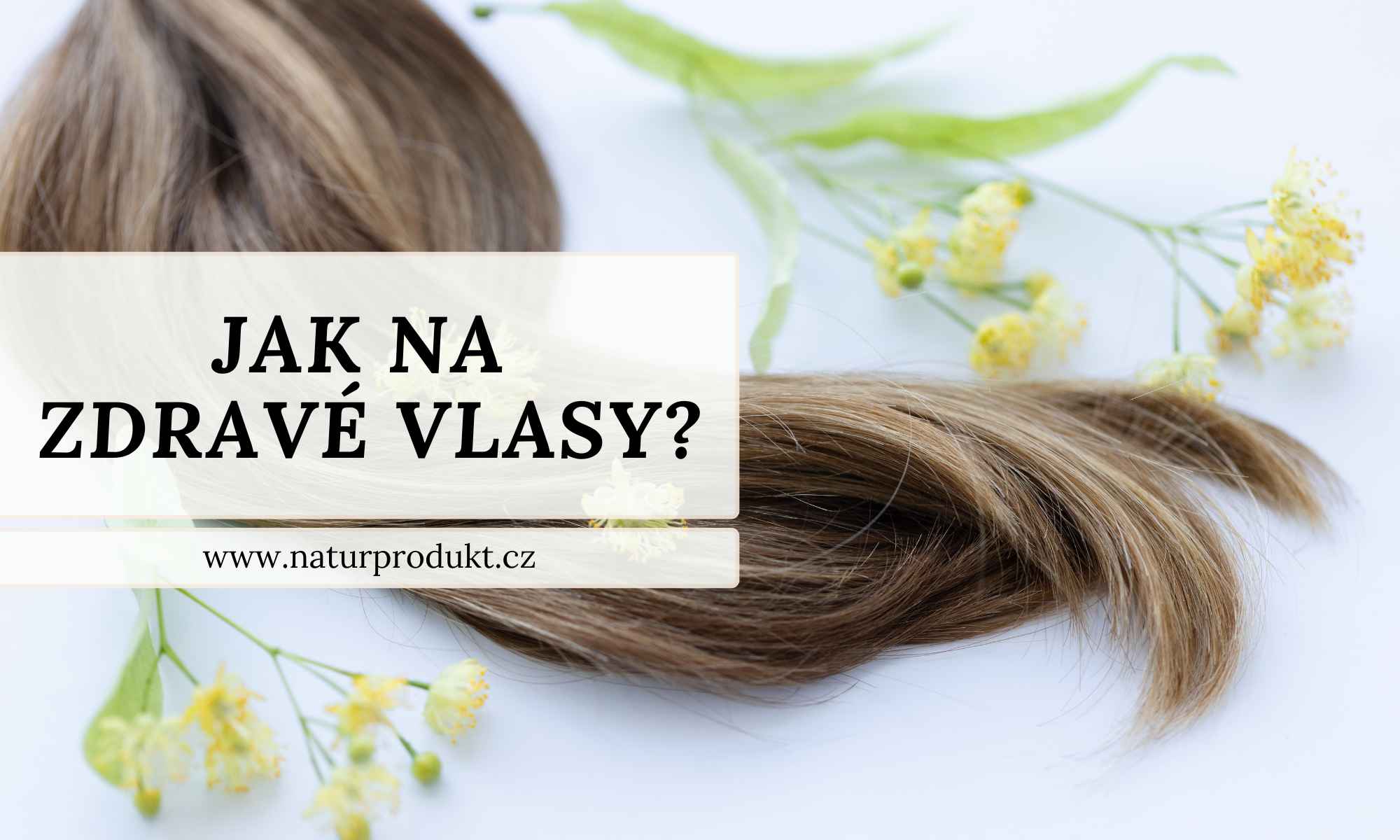 Tajemství zdravých vlasů