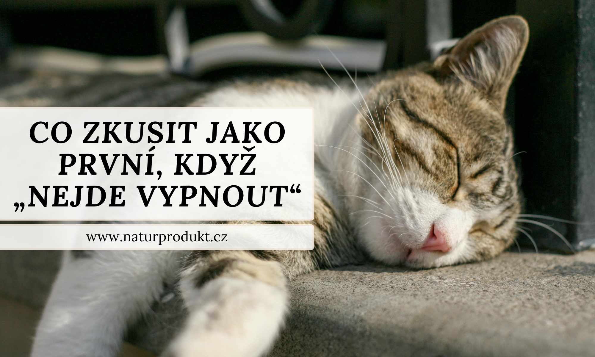 Spánek a regenerace: bylinky a večerní rituály