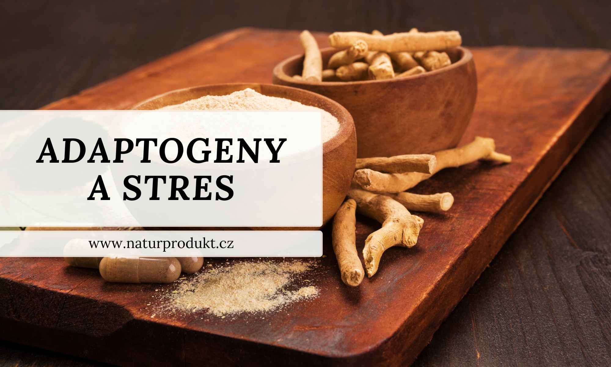 Stres ve 21. století a adaptogeny: jak fungují (a proč je Ashwagandha královna klidu)