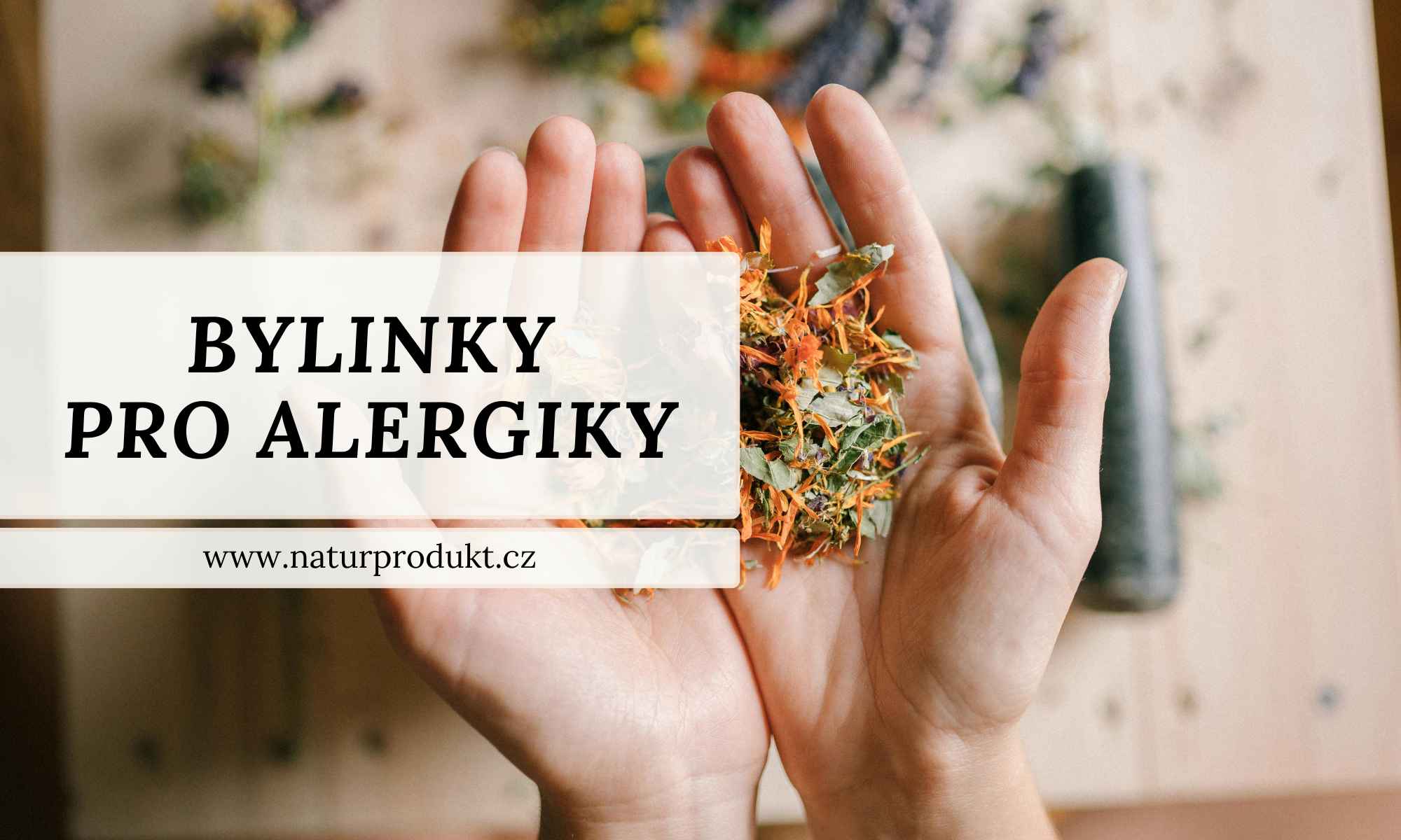 Jarní alergie? S bylinkami je to hračka! - Bylinková Lékárnička pro Alergiky