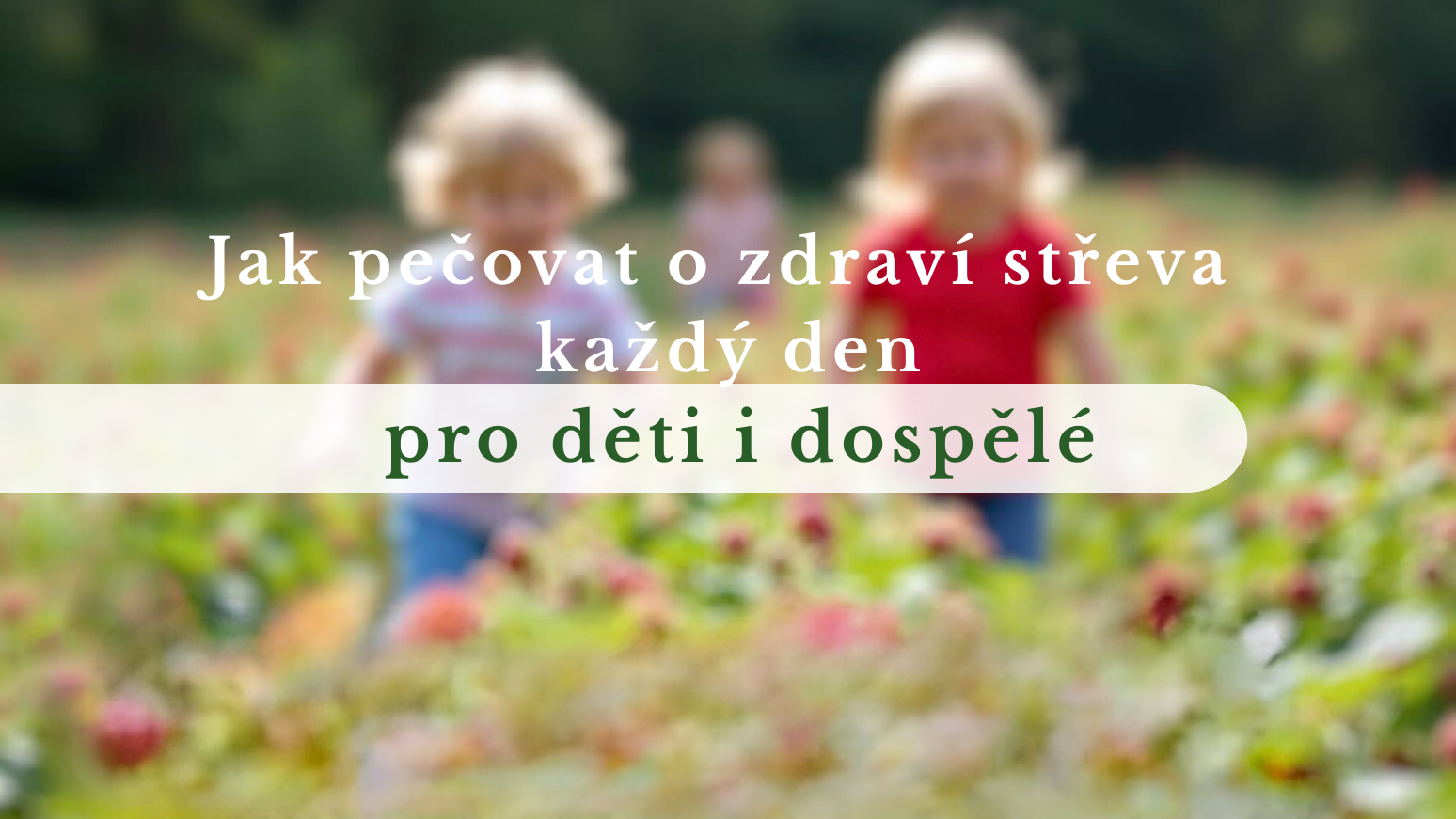 Probiotika, prebiotika a bifidobakterie: Jak pečovat o zdraví střeva každý den – pro děti i dospělé