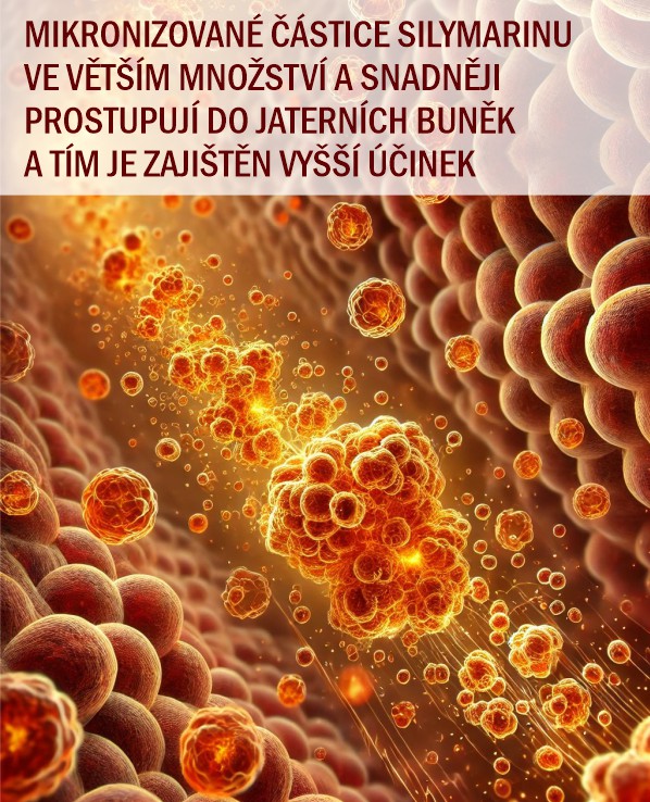 mikronizace