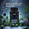 Naturprodukt melatonin + L-tryptophan + byliny