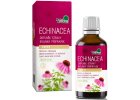 Echinacea